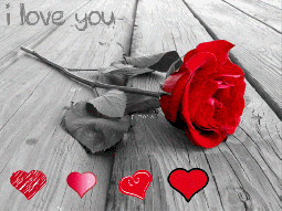 3d gif ecard gif animation  bw retro photo flower heart i love you kiss red happy Birthday  jokes glitter graphics pictures etc cartoons, funny photos, gifs, graphics icons free download b
