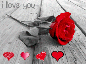 3d gif ecard gif animation  bw retro photo flower heart i love you kiss red happy Birthday  jokes glitter graphics pictures etc cartoons, funny photos, gifs, graphics icons free download b